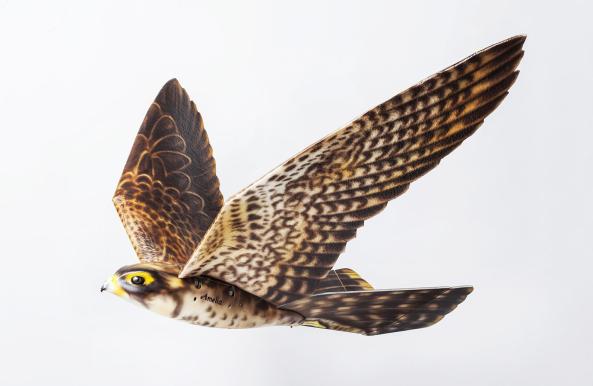 robird_clear-flight-solutions-_web